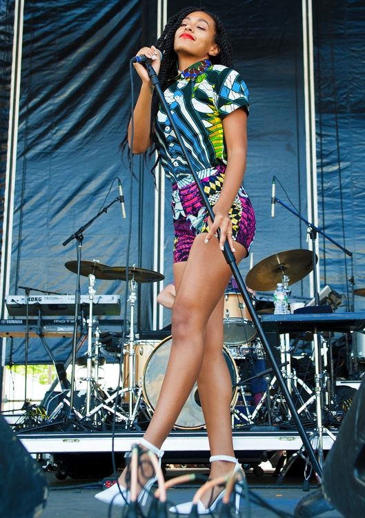Picnic-Solange's Boxing Kitten Oxford Top and Printed Shorts for the Roots Picnic 2013 1